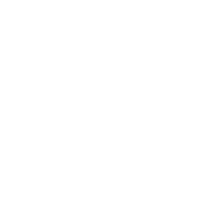 ZKBio CVSecurity SmartLock 